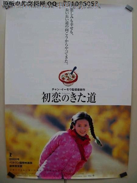 鎮西学院大学 Business diploma